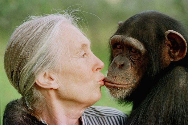 Jane Goodall